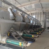 Screw pumps